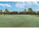 An outdoor tennis court with a smooth green surface awaits players for recreational matches, surrounded by trees under a partly cloudy sky at 11009 Wildcat Dr, Riverview, FL 33579