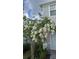 Charming flower tree in front of the home at 14312 Crimson Ave, Bradenton, FL 34211