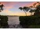 Waterfront with lush vegetation and a vibrant sunset at 1610 Bayshore Dr, Terra Ceia, FL 34250