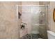 Modern bathroom featuring a walk-in shower with tiled walls and river rock floor accents at 2411 New Haven Cir # 70, Sun City Center, FL 33573