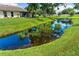 Picturesque backyard with a serene pond reflecting the sky, surrounded by a vibrant green lawn at 3530 Wilkinson Woods Dr # 14, Sarasota, FL 34231