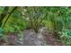 Winding garden path through lush greenery with native landscaping at 4761 Pine Harrier Dr, Sarasota, FL 34231