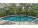 Beautiful in-ground pool surrounded by lush landscaping and a screened enclosure at 4761 Pine Harrier Dr, Sarasota, FL 34231