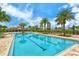 Community pool with lap lanes, lounge chairs, palm trees and tropical landscaping at 11223 Spring Gate Trl, Bradenton, FL 34211