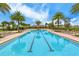 Community pool with lap lanes, palm trees, and lounge chairs surrounded by lush landscaping at 11223 Spring Gate Trl, Bradenton, FL 34211