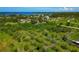 Aerial shot of lush green land, dotted with mature trees, presenting a serene view with a vast expanse of foliage and distant waterfront at 1230 Bayshore Dr, Terra Ceia, FL 34250