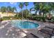 Community pool featuring lounge chairs, tables, and palm trees, perfect for relaxation at 13084 Tigers Eye Dr, Venice, FL 34292