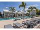 Resort-style pool with lounge chairs and palm trees, creating a relaxing oasis at 2400 Ezzell Ct, Sarasota, FL 34237