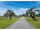Long paved driveway leading up to a charming white home, framed by mature palm trees and a wooden fence at 3100 Lena Ln, Sarasota, FL 34240