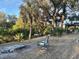 Backyard with scattered trees and brush, a fire pit, and two chairs in the middle of the yard at 3767 Pinstar Ter, North Port, FL 34287