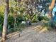 View of the backyard with a peek of the water through the trees and the brush at 3767 Pinstar Ter, North Port, FL 34287
