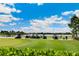 Scenic golf course with players enjoying a sunny day, showcasing the community's recreational amenities at 4735 Cassio Ct, Bradenton, FL 34211