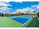 Vibrant pickleball courts providing a fun and active lifestyle option for residents on a sunny day at 4735 Cassio Ct, Bradenton, FL 34211