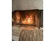 Inviting fireplace with an ornate screen, stacked stone surround, and decorative feline statues at 4819 Palmetto Point Dr, Palmetto, FL 34221