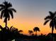 Stunning sunset view through silhouette palm trees creates a serene tropical atmosphere, perfect for relaxation at 4819 Palmetto Point Dr, Palmetto, FL 34221