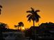 Stunning view of tropical palm trees silhouetted against the orange sunset sky at 4819 Palmetto Point Dr, Palmetto, FL 34221