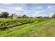 Lush backyard featuring a serene canal view behind a well-maintained single-Gathering home at 8429 Malcolm Ave, North Port, FL 34287