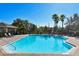 Bright and inviting community pool with lounge chairs and palm trees on a sunny day at 8907 White Sage Loop, Lakewood Ranch, FL 34202