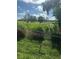 View of a pond and golf course surrounded by lush trees at 201 Elliot Ave, Sarasota, FL 34232