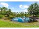 Picturesque pond reflecting the blue sky and surrounding trees, adding natural beauty to the property at 21705 67Th E Ave, Bradenton, FL 34211
