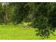 Lush green field with mature trees creating a serene and private setting with wild life at 21705 67Th E Ave, Bradenton, FL 34211
