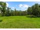 A lush green field with mature trees creating a serene and private setting at 21705 67Th E Ave, Bradenton, FL 34211