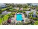 Aerial view of a community pool, lounge chairs, palm trees, and meticulously maintained landscaping at 26548 Castleview Way, Wesley Chapel, FL 33544