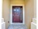 Entryway featuring a solid front door and a side window for added light at 26548 Castleview Way, Wesley Chapel, FL 33544