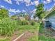 Overgrown backyard with air conditioner, shed, and mature trees, offering privacy at 2818 Olympic St, Sarasota, FL 34231