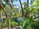 Scenic pond view with a fountain, surrounded by lush tropical foliage and mature trees at 3954 Hamilton Club Cir # 14, Sarasota, FL 34242