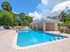 Relaxing pool area with comfortable lounge chairs, set against the backdrop of tropical landscaping and charming buildings at 3954 Hamilton Club Cir # 14, Sarasota, FL 34242