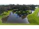 Aerial view of the beautiful pond area with trees at 6120 115Th E Ave, Parrish, FL 34219