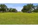 Large yard with mature trees, providing ample space and a serene atmosphere at 7264 Spencer Parrish Rd, Parrish, FL 34219