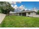 Large backyard with healthy green lawn and a fence surrounding the perimeter for privacy at 813 Oak Pond Dr, Osprey, FL 34229