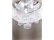 Chandelier consisting of transparent globes at 2586 Wild Cherry Path, Sarasota, FL 34240