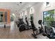 Community gym featuring an array of treadmills, ellipticals, and exercise equipment at 2586 Wild Cherry Path, Sarasota, FL 34240