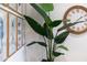 Close up of wall decor with nature themed art and a decorative clock at 2586 Wild Cherry Path, Sarasota, FL 34240