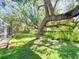 Wonderful backyard with a lush lawn and swing hanging from a mature tree at 4913 32Nd E St, Bradenton, FL 34203