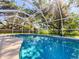 Sparkling pool enclosed by a screen, surrounded by lush greenery at 4913 32Nd E St, Bradenton, FL 34203