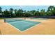 Well-maintained tennis courts in a recreational area surrounded by trees and a black net, perfect for sports enthusiasts at 5234 Napoli Run, Bradenton, FL 34211