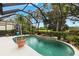 Inviting screened pool surrounded by lush greenery is ideal for relaxation and outdoor enjoyment at 6155 Aviary Ct, Bradenton, FL 34203