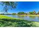 Picturesque waterfront view with mature trees and well-maintained lawn surrounding the lake at 8315 Eagle Xing, Sarasota, FL 34241