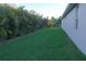 Lush, green backyard lined with tall palm trees for privacy and beauty at 12398 Keyridge Loop, Largo, FL 33778