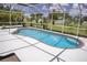 Enjoy the refreshing pool in a screened enclosure, with lush landscaping at 3167 Pinetree St, Port Charlotte, FL 33952