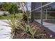 Tropical landscaping around a screened-in pool area at 3167 Pinetree St, Port Charlotte, FL 33952