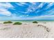 Expansive beachfront view featuring white sand, scattered greenery, and tranquil ocean waters under a bright sky at 500 Park S Blvd # 97, Venice, FL 34285