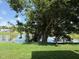 Lush backyard with a large shade tree, picnic table, and tranquil lake views at 5026 Water Oak Dr # 114, Bradenton, FL 34207