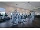 Well-equipped fitness center with modern exercise machines, mirrored walls, and ample natural light at 5533 Long Shore Loop, Sarasota, FL 34238