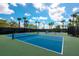 Outdoor pickleball court with vibrant blue surface, surrounded by lush greenery and palm trees at 5533 Long Shore Loop, Sarasota, FL 34238