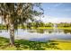 A serene pond view features a fountain and a beautiful tree with Spanish moss in a lush setting at 7747 33Rd E St, Sarasota, FL 34243